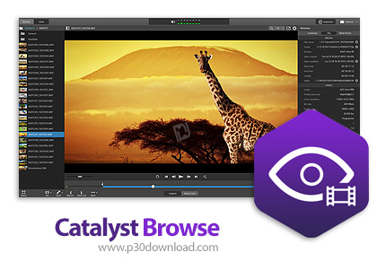 دانلود Catalyst Browse v2017.2.0.263 CE - نرم افزار بررسی و ویرایش فایل های ویدئویی