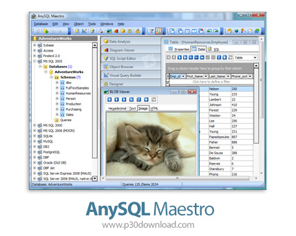 دانلود AnySQL Maestro Professional v16.12.0.15 - نرم افزار مدیریت انواع دیتابیس ها