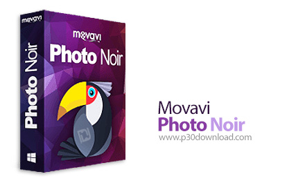 دانلود Movavi Photo Noir v1.0.1 - نرم افزار تبدیل عکس ها به فرم سیاه و سفید
