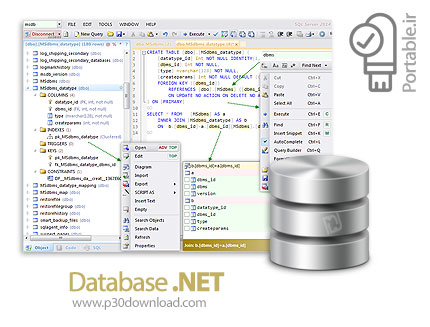 دانلود Database .NET v35.1.8447 x86/x64 Portable - نرم افزار ساخت و مدیریت دیتابیس پرتابل (بدون نیاز