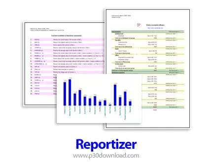 دانلود Reportizer v6.5.6.49 x64 + v6.4.5.39 - نرم افزار گزارش گیری از دیتابیس