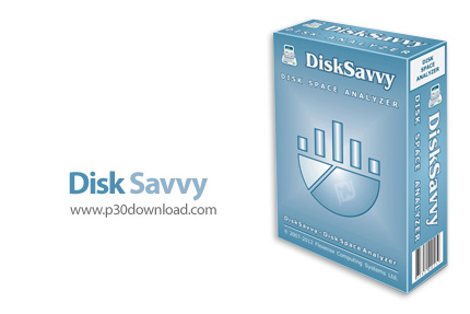 دانلود Disk Savvy Pro/Ultimate/Enterprise v14.4.28 x86/x64 - نرم افزار مدیریت فضای هارد دیسک