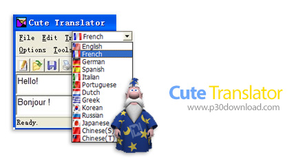دانلود Authorsoft Cute Translator Pro v6.2 Build 1295 - نرم افزار ترجمه آنلاین متون و اسناد مختلف