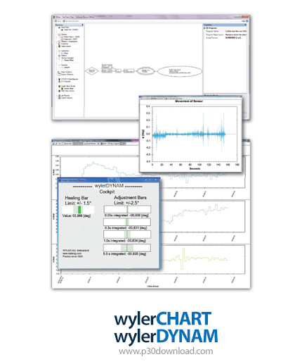 دانلود Wyler CHART / DYNAM v1.6.6.106 - نرم افزار تفسیر، دسته‌بندی و مطالعه داده‌های شیب‌سنجی