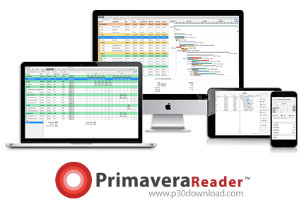 دانلود Primavera Reader Pro v5.0.1.50895 - نرم افزار مشاهده فایل‌های مدیریت پروژه اوراکل