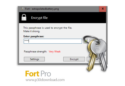 دانلود Fort Pro v5.0.0 - نرم افزار رمزگذاری فایل ها و پوشه ها