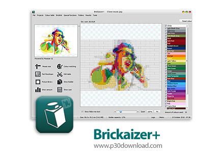 دانلود Brickaizer+ v8.0.4.5 x86/x64 - نرم افزار ساخت طرح های موزاییکی