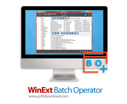 دانلود WinExt Batch Operator Enterprise v1.0 Build 008 - نرم افزار انجام عملیات مختلف به صورت گروهی 