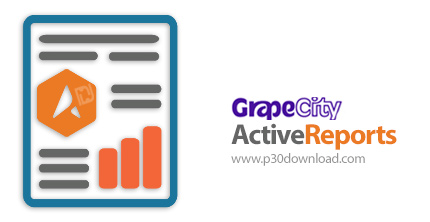 دانلود Grapecity ActiveReports v12.2.13986.0 - افزونه گزارش گیری در VisualStudio
