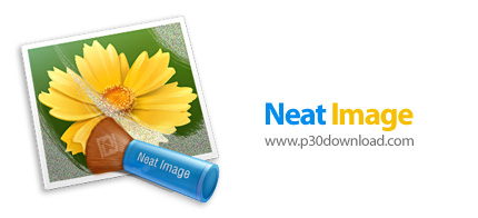 دانلود Neat Image Pro v8.3.5 x86 Standalone - نرم افزار حذف نویز و بهبود کیفیت نمایشی تصاویر دیجیتال