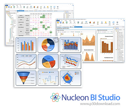 دانلود Nucleon BI Studio v12.0.0.10122 + v10.8 - نرم افزار تجزیه تحلیل و گزارش گیری از داده های پایگ