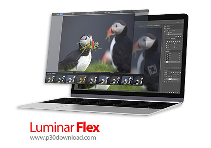دانلود Luminar Flex v1.1.0.3435 x64 - نرم افزار اضافه کردن فیلتر های حرفه ای به عکس