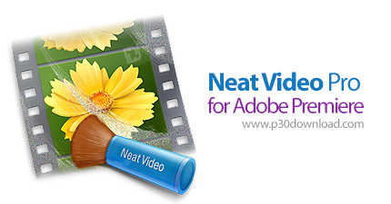 دانلود ABSoft Neat Video Pro v5.0.2 x64 for Adobe Premiere Pro - افزونه حذف نویز ویدئوهای خام برای پ