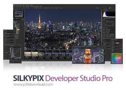 دانلود SILKYPIX Developer Studio Pro v11.0.5.0 + v11.1.5.0 x64 - نرم افزار مبدل و بهبود تصاویر