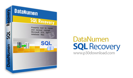 دانلود DataNumen SQL Recovery v5.0 - نرم افزار تعمیر و بازیابی فایل های دیتابیس اسکیوال سرور