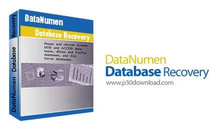 دانلود DataNumen Database Recovery v2.4.0.0 - نرم افزار تعمیر و بازیابی فایل های دیتابیس اکسس و دی ب