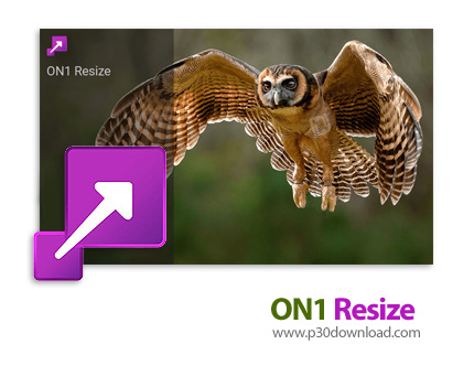 دانلود ON1 Resize AI 2022.5 v16.5.1.12526 x64 - نرم افزار ویرایش و تغییر سایز تصاویر بدون کاهش کیفیت