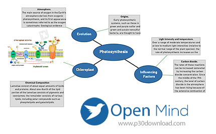 دانلود Open Mind v5.3.0 x64 + v5.2.0 x86 - نرم افزار رسم ایده های ذهنی و فلوچارت