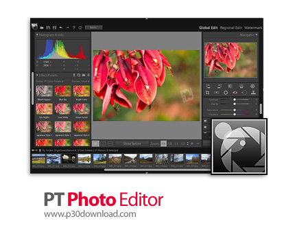 دانلود PT Photo Editor v5.10.4.0 x64 - نرم افزار ویرایش و اصلاح تصویر