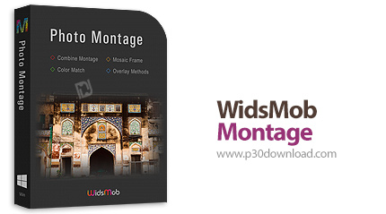 دانلود WidsMob Montage 2021 v1.3.0.98 - نرم افزار موزاییکی کردن عکس