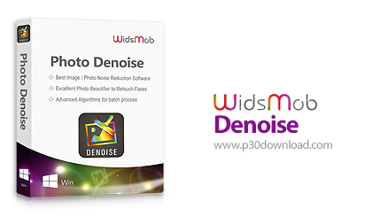 دانلود WidsMob Denoise 2021 v1.2.0.88 x64 - نرم افزار حذف نویز از عکس