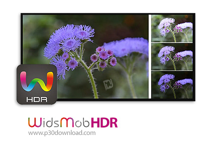 دانلود WidsMob HDR v2.1.0.118 x64 - نرم افزار ویرایش پیشرفته تصاویر اچ دی آر