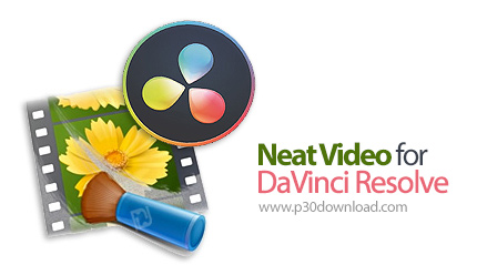 دانلود ABSoft Neat Video Pro v5.4.1 x64 for DaVinci Resolve - افزونه حذف نویز ویدئوهای خام برای DaVi