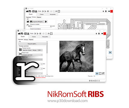دانلود NikRomSoft RIBS v1.x Bundle - نرم افزار کنترل عملیات حکاکی تصاویر رستر با دستگاه سی ان سی