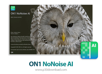 دانلود ON1 NoNoise AI 2022.5 v16.5.1.12526 x64 - نرم افزار حذف نویز و بهبود کیفیت تصاویر