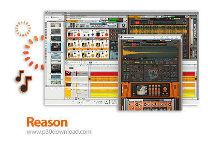 دانلود Reason Studios Reason v12.5.0 x64 - نرم افزار آهنگسازی ریزن