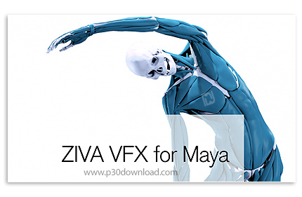 دانلود Ziva Dynamics Ziva VFX v2.1 x64 for Maya 2019-2023 - پلاگین شبیه سازی آناتومی برای مایا