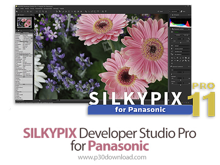 دانلود SILKYPIX Developer Studio Pro for Panasonic v11.3.13.0 x64 - نرم افزار بالا بردن کیفیت تصاویر