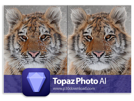 دانلود Topaz Photo AI v2.0.3 + Portable - نرم افزار افزایش کیفیت عکس با هوش مصنوعی