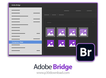 دانلود Adobe Bridge 2024 v14.0.2.191 x64 - بریج ۲۰۲۴، نرم افزار مدیریت و سازماندهی عکس‌‌ها
