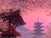 Blooming Sakura 3D Screensaver Screenshot 1