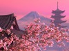 Blooming Sakura 3D Screensaver Screenshot 2