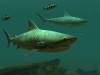 Tiger Sharks 3D Screensaver and Wallpaper Screenshot 2