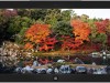 Autumn Color in Japan theme Screenshot 2