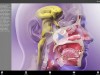 Physiology Animations Screenshot 3