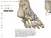 3D Organon Anatomy Screenshot 4