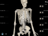 3D Organon Anatomy Screenshot 5
