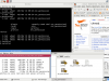 NetBSD Screenshot 1
