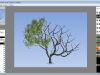 TwistedBrush Tree Studio Screenshot 1