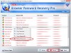 Browser Password Recovery Pro Screenshot 4