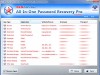 All-In-One Password Recovery Pro Screenshot 2