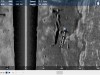 ReefMaster Sonar Viewer Screenshot 3
