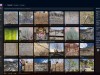 Photo Organizer AI Premium Screenshot 1