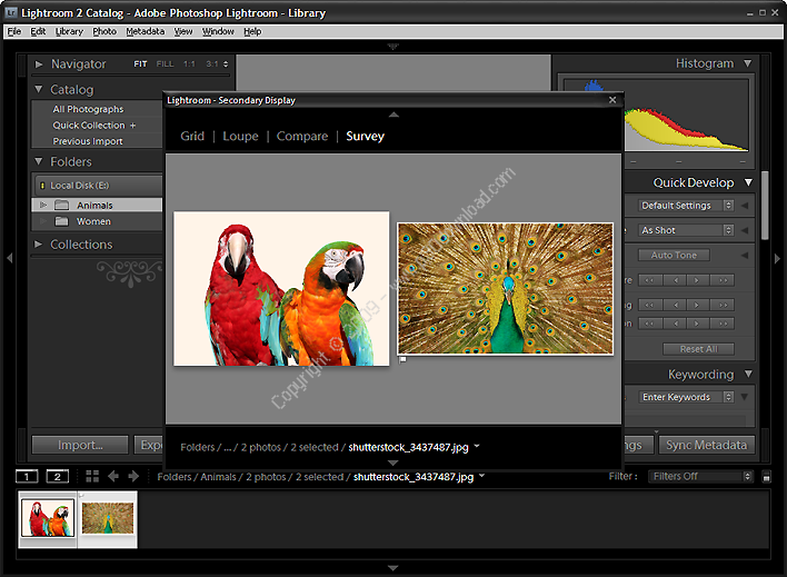 download adobe photoshop lightroom 5.7.1