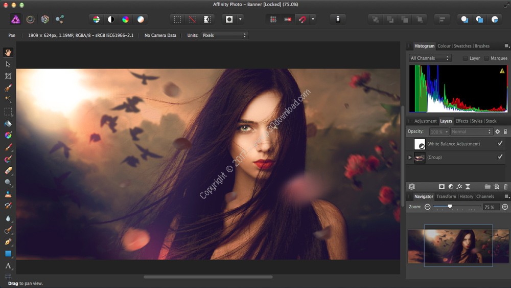 download the last version for android Serif Affinity Photo 2.2.1.2075