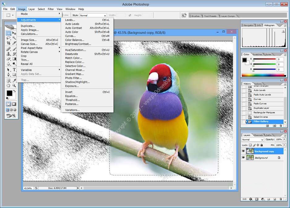 adobe photoshop cs2 pc software download